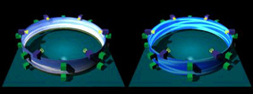 Phase V