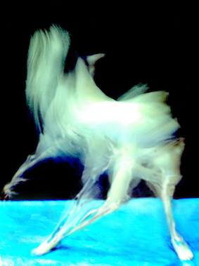 transparent monster