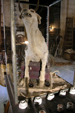 Sui in res, by Jean Michel Bruyère / LFKs