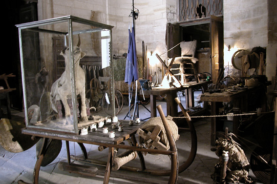 Sui in res, by Jean Michel Bruyère / LFKs
