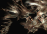 cluster