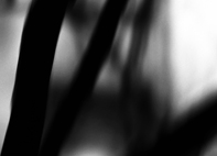 scape