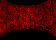 alluvium
