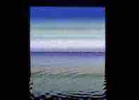 waveform x