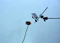 camera lucida