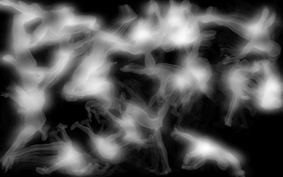 cluster